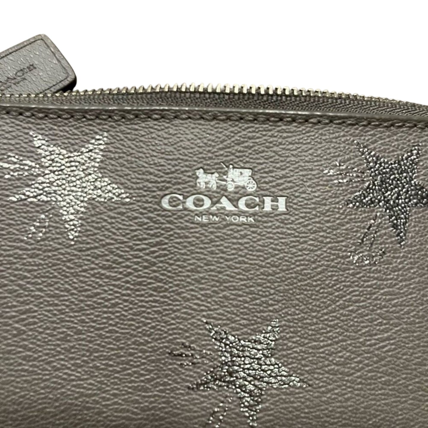 Coach Star Canyon Corner Wristlet
