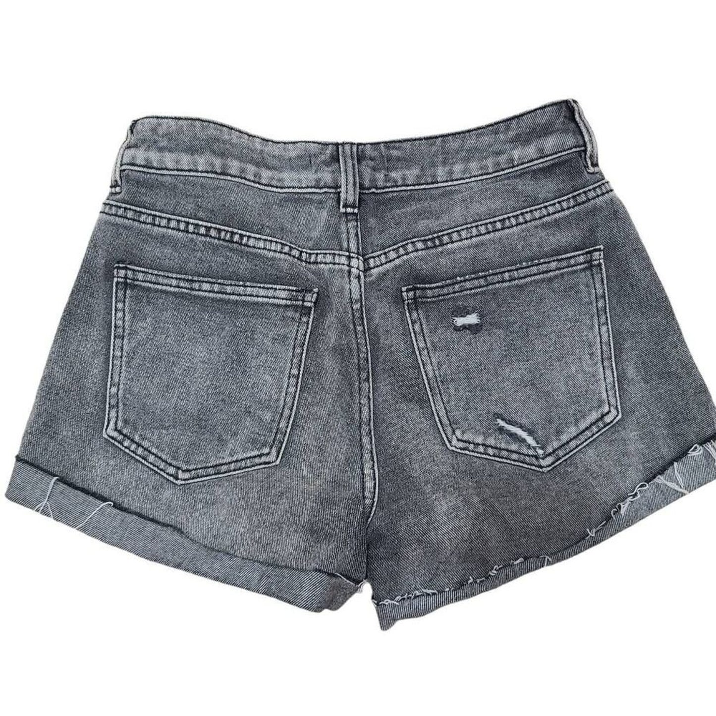 SIZE 26 | Pacsun Mom Shorts
