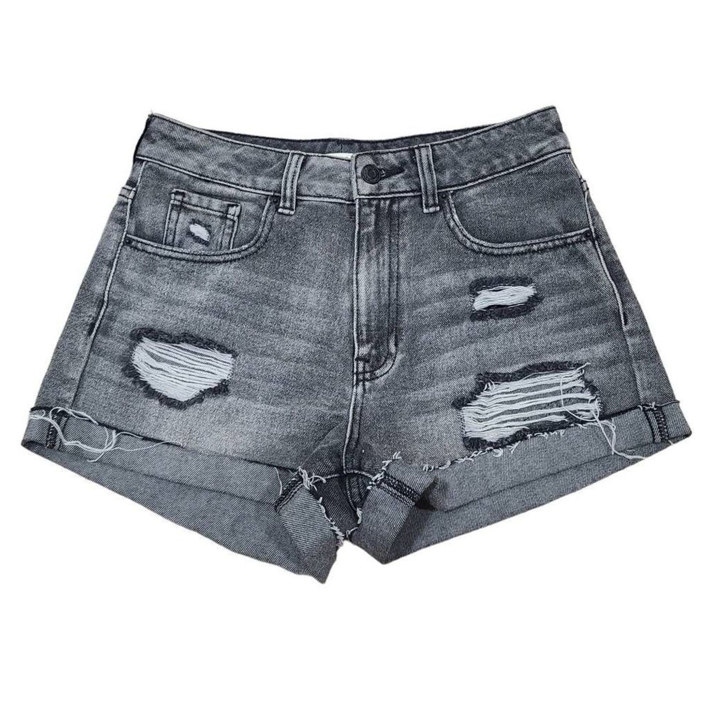 SIZE 26 | Pacsun Mom Shorts